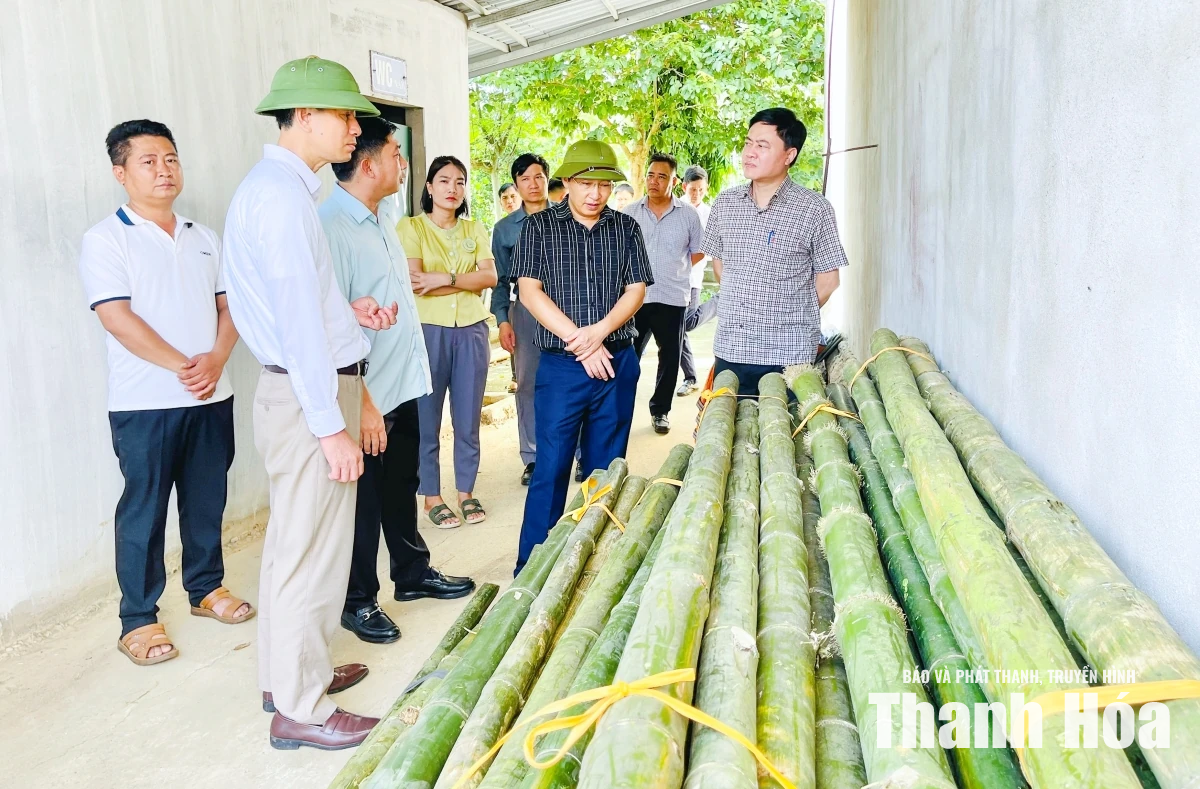 Kiểm tra công tác phòng, chống thiên tai tại 5 xã