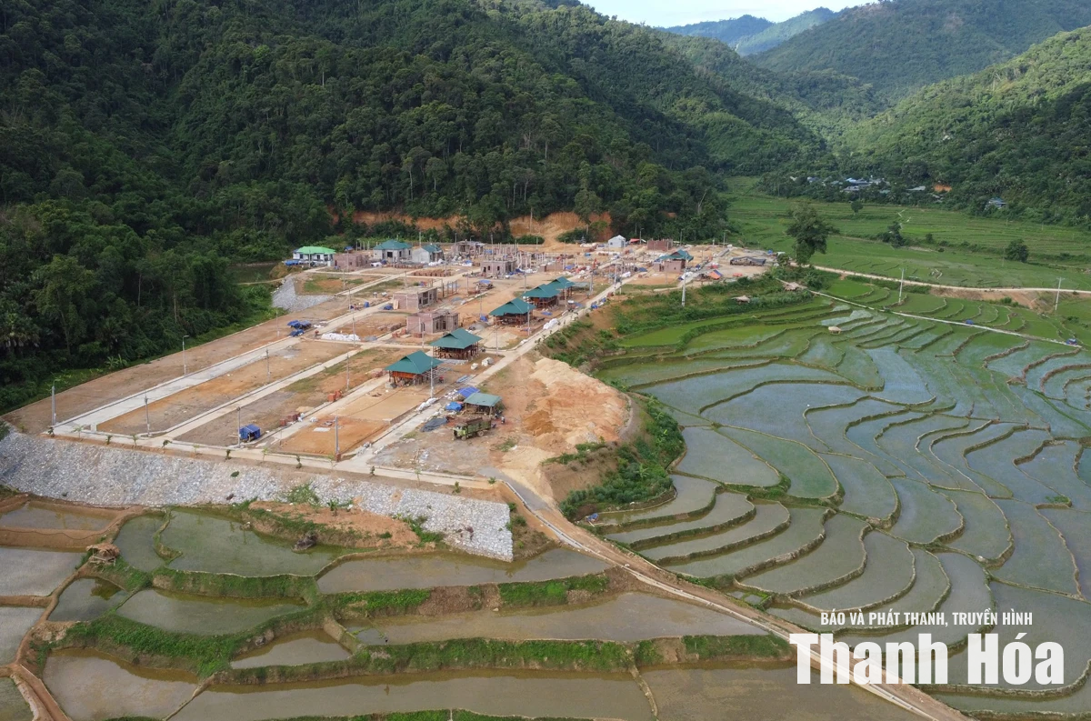 Nụ cười đang nở phía chân đồi