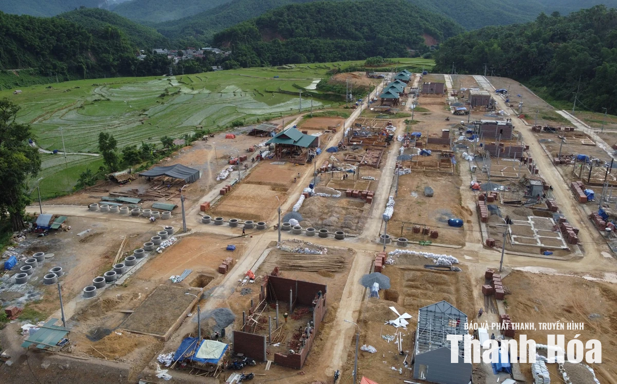 Nụ cười đang nở phía chân đồi