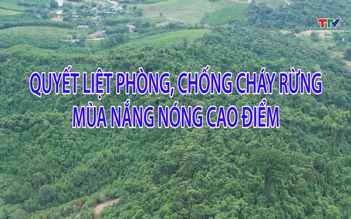 Phóng sự: Quyết liệt phòng chống cháy rừng mùa cao điểm