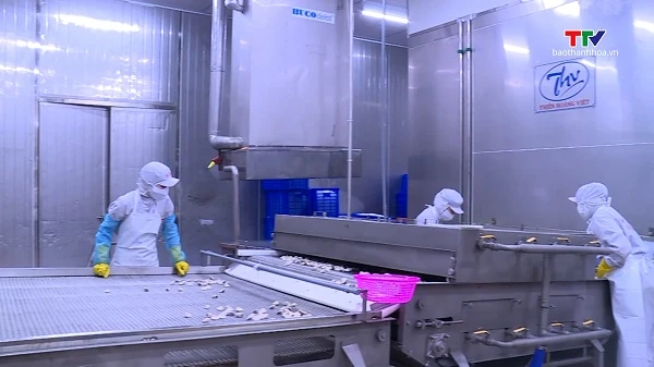 Nỗ lực hiện thực hóa mục tiêu xuất khẩu nông, lâm, thủy sản 100 tỷ USD