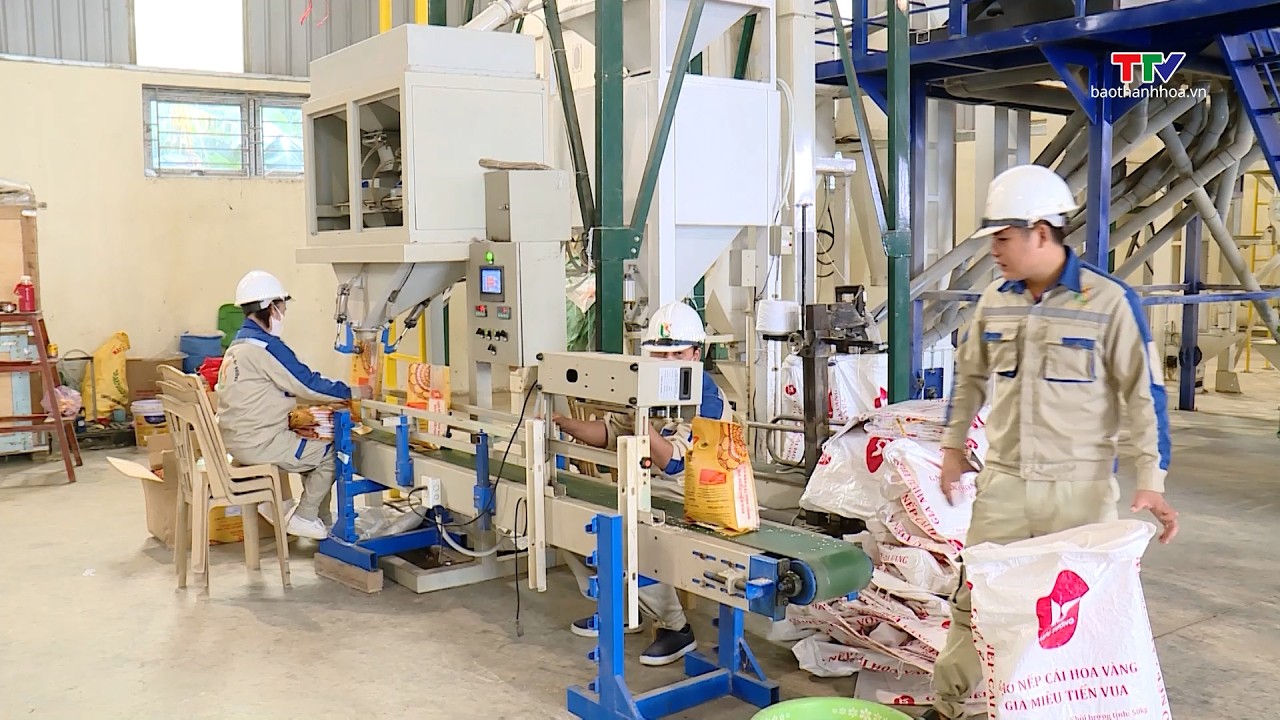 Giá gạo xuất khẩu Việt Nam duy trì ở mức cao