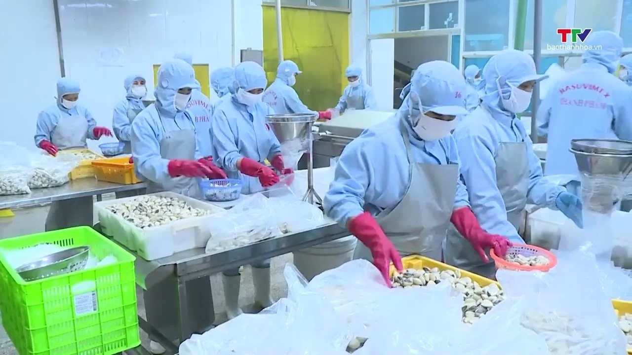 Xuất khẩu nông sản Việt Nam đạt nhiều kết quả tích cực