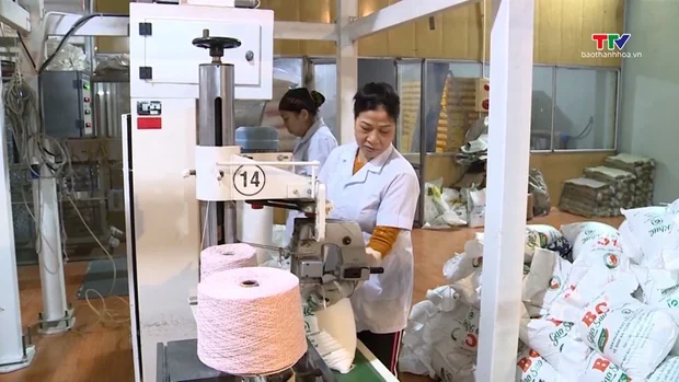 Xuất khẩu gạo Việt Nam đạt trên 6 triệu tấn