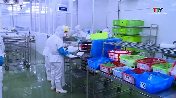 Xuất khẩu thủy sản dự kiến vượt mốc 12 tỷ USD