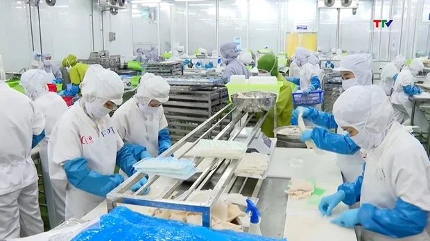 Xuất khẩu thủy sản tiếp tục tăng trưởng nhưng đối mặt nhiều thách thức