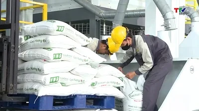 Giá gạo xuất khẩu Việt Nam giảm