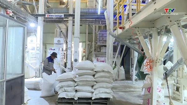 Quy định mới về điều kiện kinh doanh xuất khẩu gạo